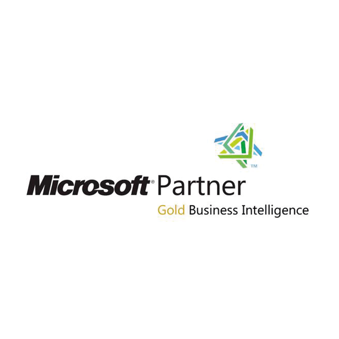 Logo Microsoft Partner